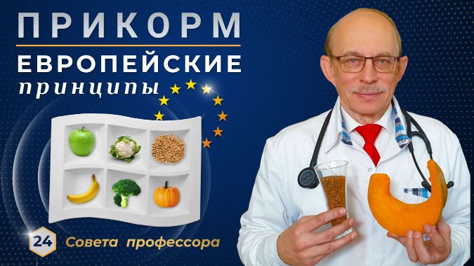 Как давать кусочки, если нет зубов?